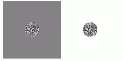 An example of the Chubb illusion. The two centers are physically identical.