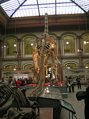 The Humboldt Museum, the first national museum in the world