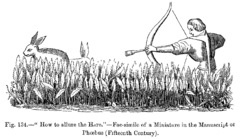 "How to allure the Hare." Facsimile of a Miniature in the Manuscript of Phoebus (fifteenth century).