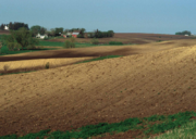Light colored soils in northeast Iowa have lost their topsoil. These soils are highly erodible and very steep.