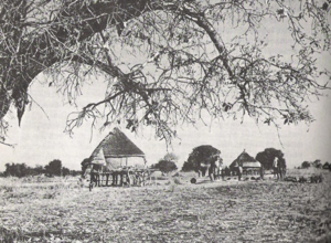 An example of rainy season temporary settlements. Note the stilts upon which the huts are built to protect against periodic flooding of the region.