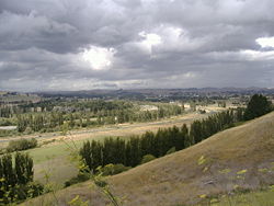 New Zealand countryside: Waipukurau district is the heart of a sheep and cattle region on the east coast of the North Island.