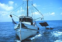 Double-rigged shrimp trawler hauling in the nets.
