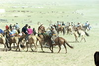 Modern day horsemen in Mongolia during Naadam festival.