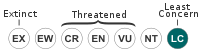 Status IUCN3.1 LC.svg