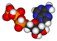 A space filling image of ATP
