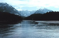 Near Little Port Walter in Southeast Alaska.