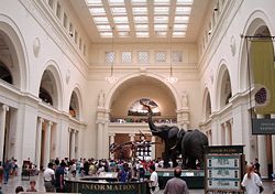 Field Museum of Natural History, Chicago. 2000