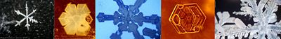 Snowflake Gallery.