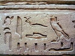Hieroglyphs typical of the Greco-Roman period