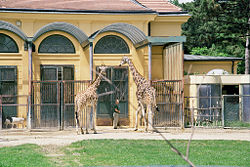 The giraffe house at the current Tiergarten Schönbrunn.