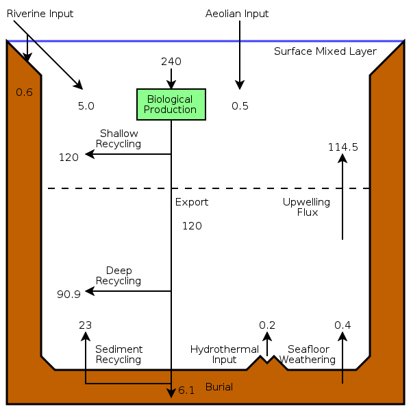 Image:Oceanic Silicon Cycle Budget.svg