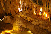 Limestone cave in Mole Creek Karst National Park.