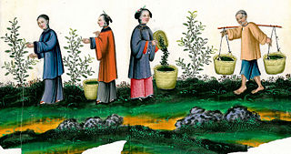 People in imperial China - Qing dynasty.