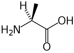 Image:L-alanine-skeletal.svg