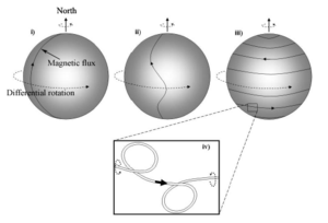 A drawing demonstrating the configuration of solar magnetic flux during the solar cycle.