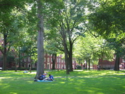 Harvard Yard with freshman dorms in the background