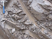 Quaternary clay in Estonia.