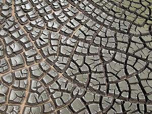 Sludge from a sewage plant has developed cracks as a result of extreme drying (desiccation).