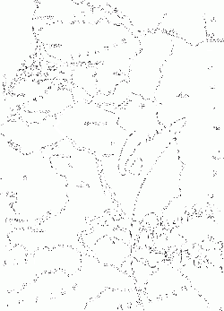 "Second Ribbentrop-Molotov Pact" of 28 September 1939. Map of Poland signed by Stalin and Ribbentrop adjusting the German-Soviet border in the aftermath of German and Soviet invasion of Poland.