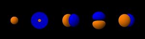 The shapes of the first five atomic orbitals. The colors show the wavefunction phase.