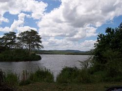 Kruger National Park, South Africa