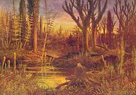The Devonian period marks the beginning of extensive land colonization by plants. With large herbivorous land-animals not yet being present, large forests could grow and shape the landscape.