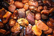 Unpolished amber stones, in varying hues.