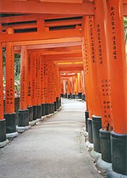 Red torii along a path at the Fushimi Inari Shrine.
