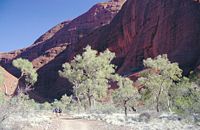 Kata Tjuta up close