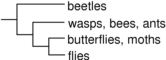 Image:Cladogram-example1.svg