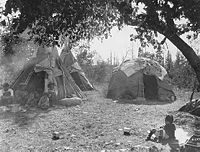 Ojibwe Wigwam and Dakota-style Tipis, White Earth, Minnesota 1928
