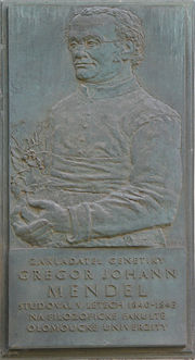 Johann Gregor Mendel - memorial plaque in Olomouc