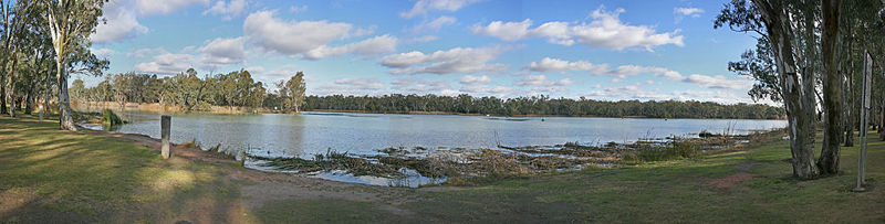 The confluence of the Darling and Murray Rivers at Wentworth, New South Wales.