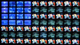 Video Flag by Nam June Paik, synchronized video playback on 70 CRT monitors, 1958-1969, Hirshhorn Museum and Sculpture Garden (Washington, D. C.)