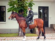 Norway mounted policeman, Oslo