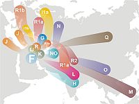 The diversion of Haplogroup F and its descendants.