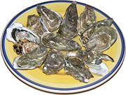 Raw oysters presented on a plate.