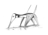 Pterodactylus kochi appears to be well adapted to walking on all fours.