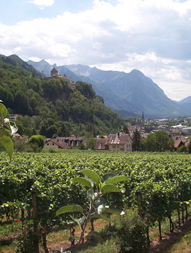 Vineyards in Vaduz.