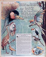 A colorful layout from the front page of the World’s Sunday edition, April 8, 1906