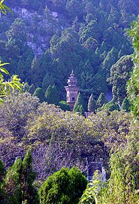 Dragon-and-tiger pagoda in Shandong Province, China.