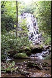 Horsetrough Falls in the Mark Trail Wilderness