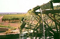A wine farm on the Orange River