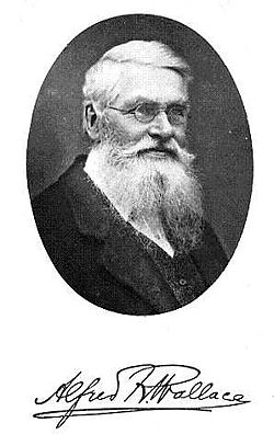 Alfred Russel Wallace, and signature, from the frontispiece of Darwinism (1889)