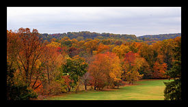 Autumn colors in Bryn Athyn, PA.