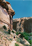 width = 120px