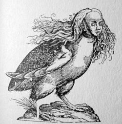 Harpy in Ulisse Aldrovandi, Monstrorum Historia, Bologna, 1642