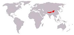 Red panda range
