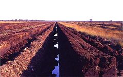 Peat exploitation in East Frisia, Germany.